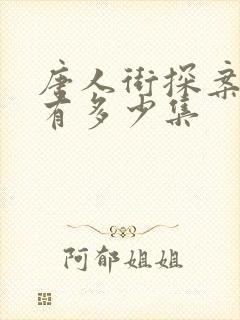 唐人街探案网剧有多少集