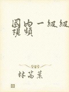 国内一级级内射视频