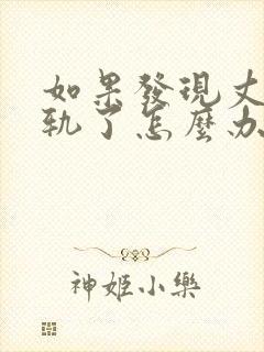 如果发现丈夫出轨了怎么办封面