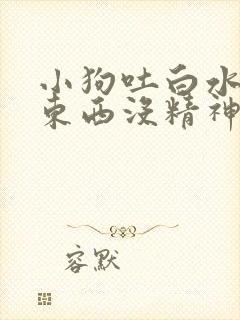 小狗吐白水不吃东西没精神怎么办