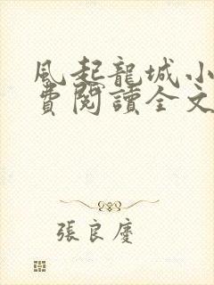 风起龙城小说免费阅读全文封面