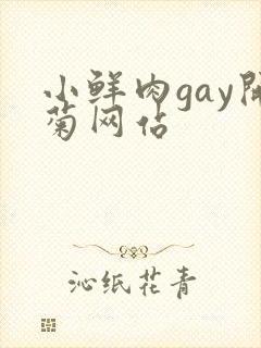 小鲜肉gay开菊网站封面