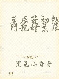 叶辰萧初然 上门龙婿叶辰最新