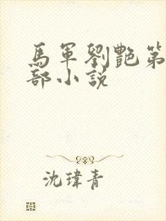 马军刘艳第10部小说