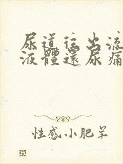 尿道往出流白色液体还尿痛