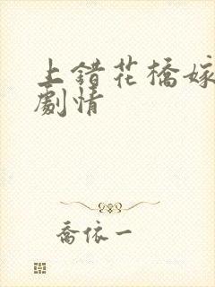 上错花桥嫁对郎剧情