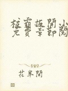 校霸扳开小班长免费章节阅读