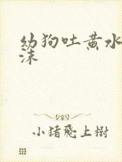 幼狗吐黄水带泡沫