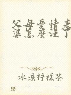 父母爱情老丁老婆怎么没了