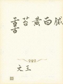 舌苔黄白腻齿痕舌