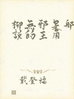 柳无邪是哪本小说的主角封面