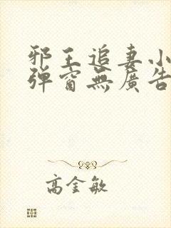 邪王追妻小说无弹窗无广告封面