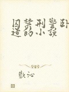 囚禁刑警卧底改造的小说