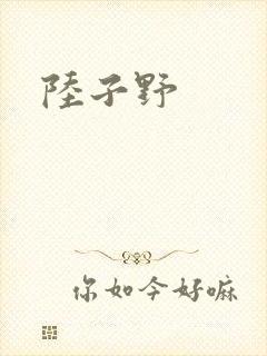 陆子野封面