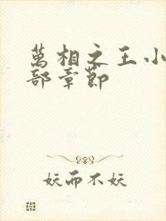 万相之王小说全部章节