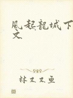 风起龙城下载全文