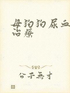 母狗狗尿血怎么治疗