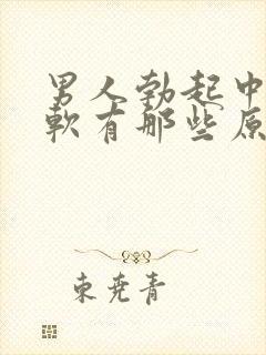 男人勃起中途疲软有那些原因