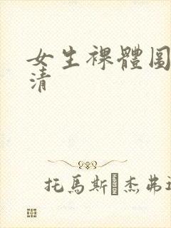 女生裸体图片高清