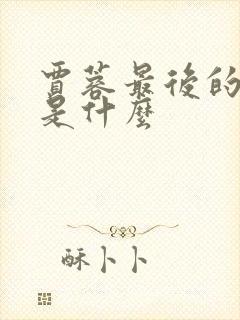 贾蓉最后的结局是什么