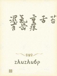 湿气重舌苔白厚有齿痕