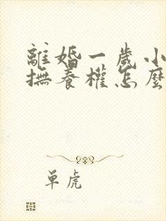 离婚一岁小孩子抚养权怎么判定封面