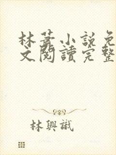 林萧小说免费全文阅读完整版