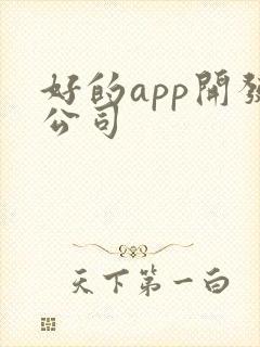 好的app开发公司