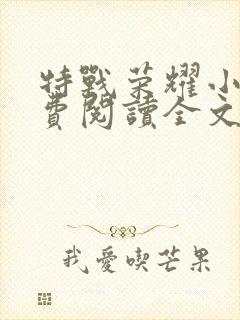 特战荣耀小说免费阅读全文