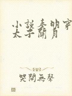 小说秦明穿越成太子关月