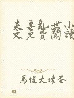 夫妻乱世小说全文免费阅读最新章节