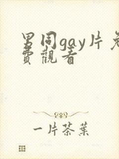 男同gay片免费观看