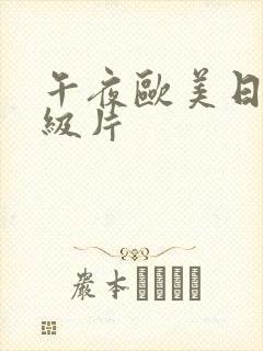 午夜欧美日韩特级片