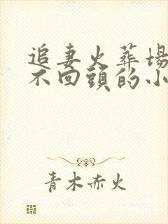 追妻火葬场女主不回头的小说封面