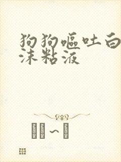 狗狗呕吐白色泡沫粘液