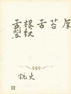 舌根舌苔厚腻有裂纹