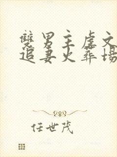 双男主虐文he追妻火葬场