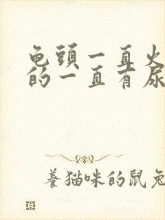 龟头一直火辣辣的一直有尿意封面