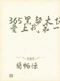 365黑帮大佬爱上我第一季封面