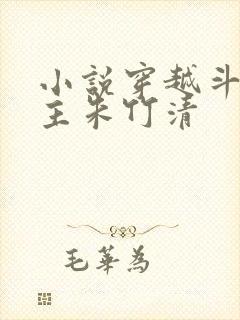 小说穿越斗罗女主朱竹清