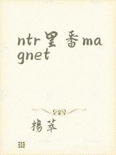 ntr里番magnet