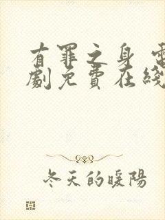 有罪之身 电视剧免费在线观看