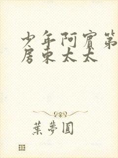 少年阿宾第一章房东太太封面