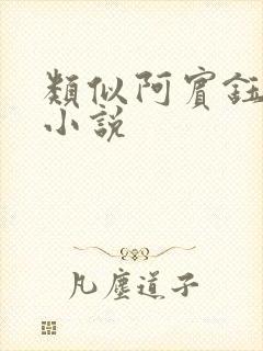 类似阿宾钰慧的小说