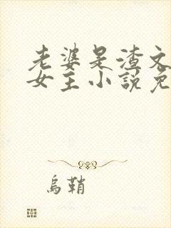 老婆是渣文大佬女主小说免费阅读