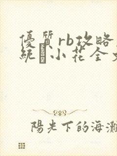 优质rb攻略系统寀小花全文免费阅读