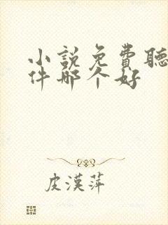 小说免费听书软件哪个好