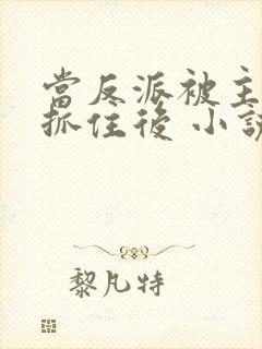 当反派被主角们抓住后 小说