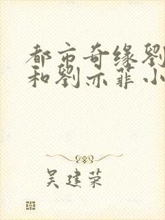 都市奇缘刘晓莉和刘亦菲小说最新章