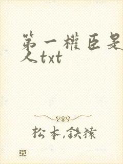 第一权臣是病美人txt